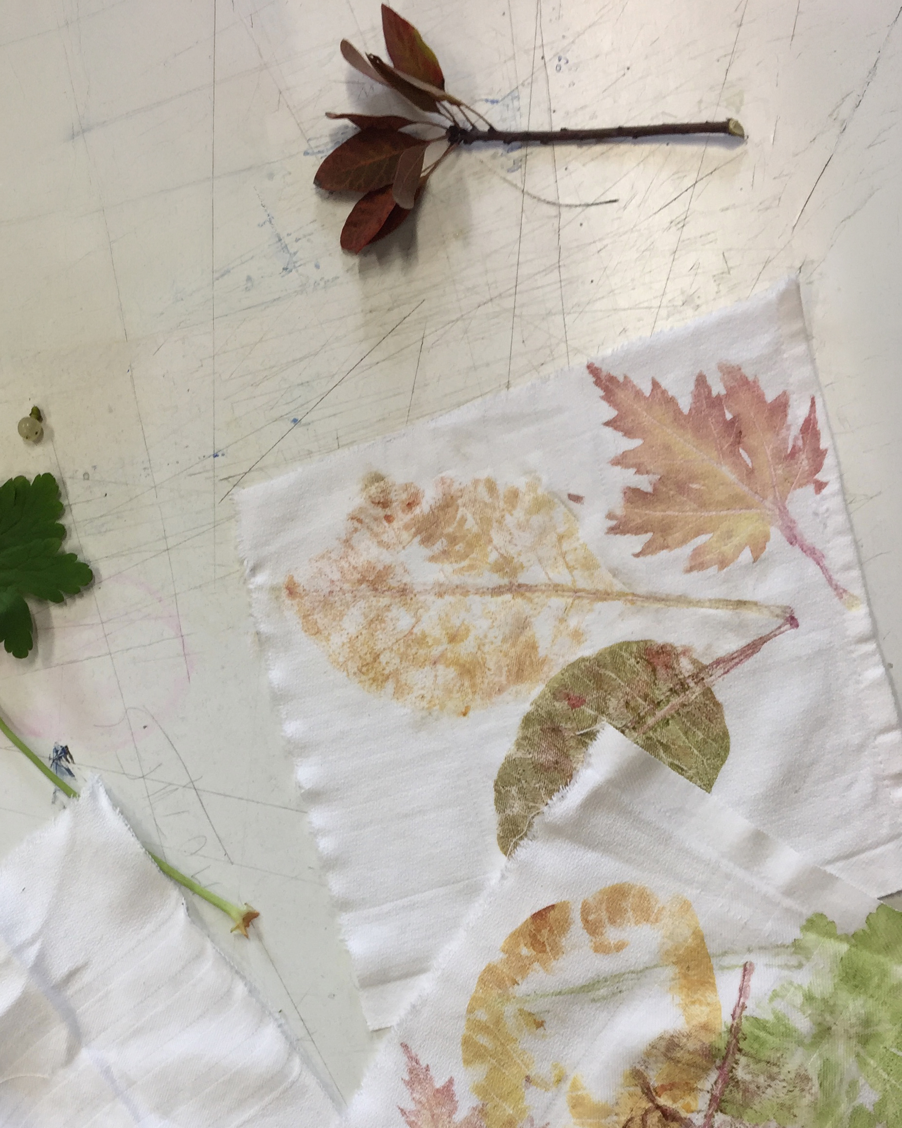 Atelier 7-12 ans / Atelier teinture végétale / Tataki Zomé