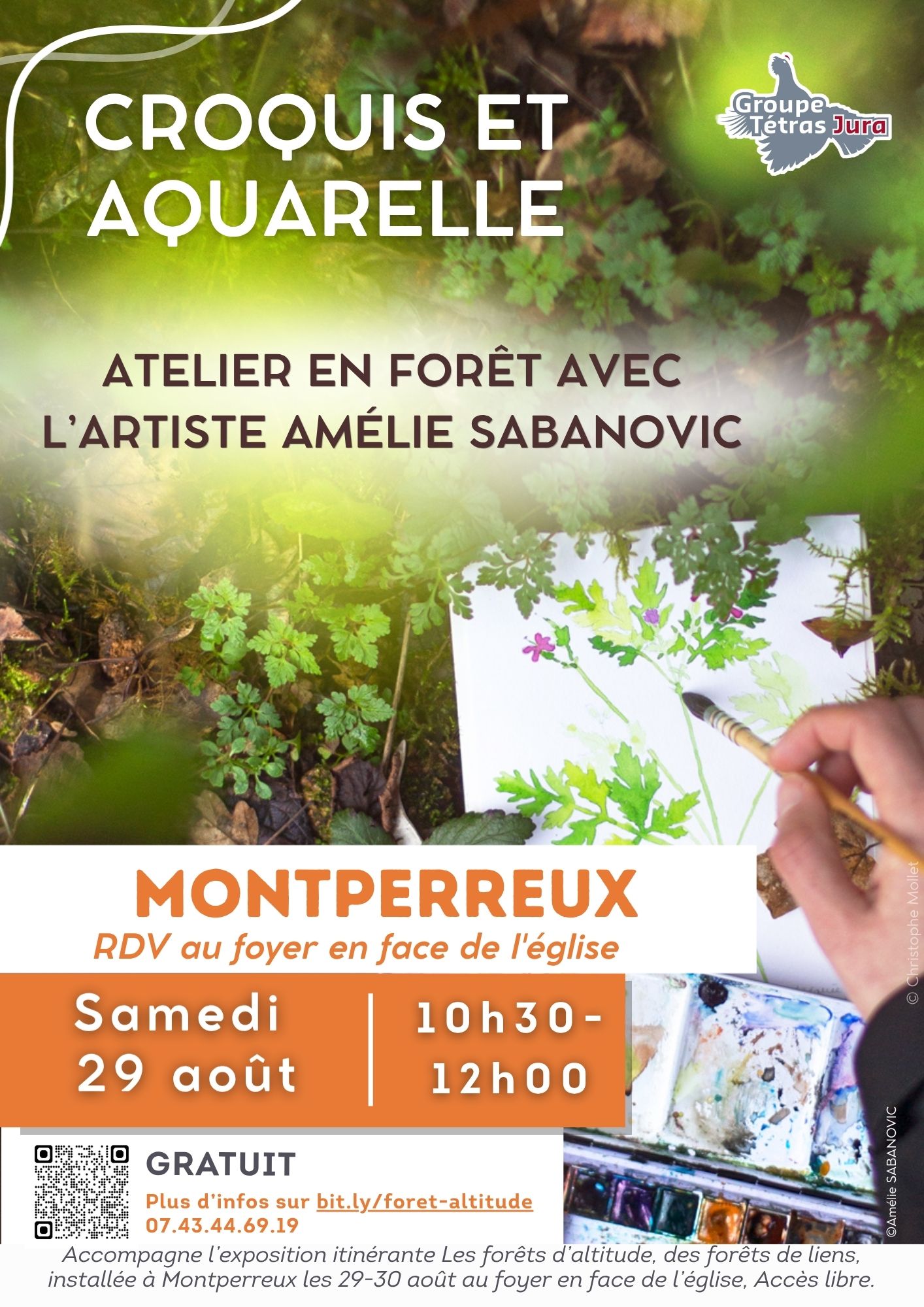 Atelier : croquis et aquarelle en nature_ Dans le cadre de "Les forêts d'altitude, des forêts de liens"