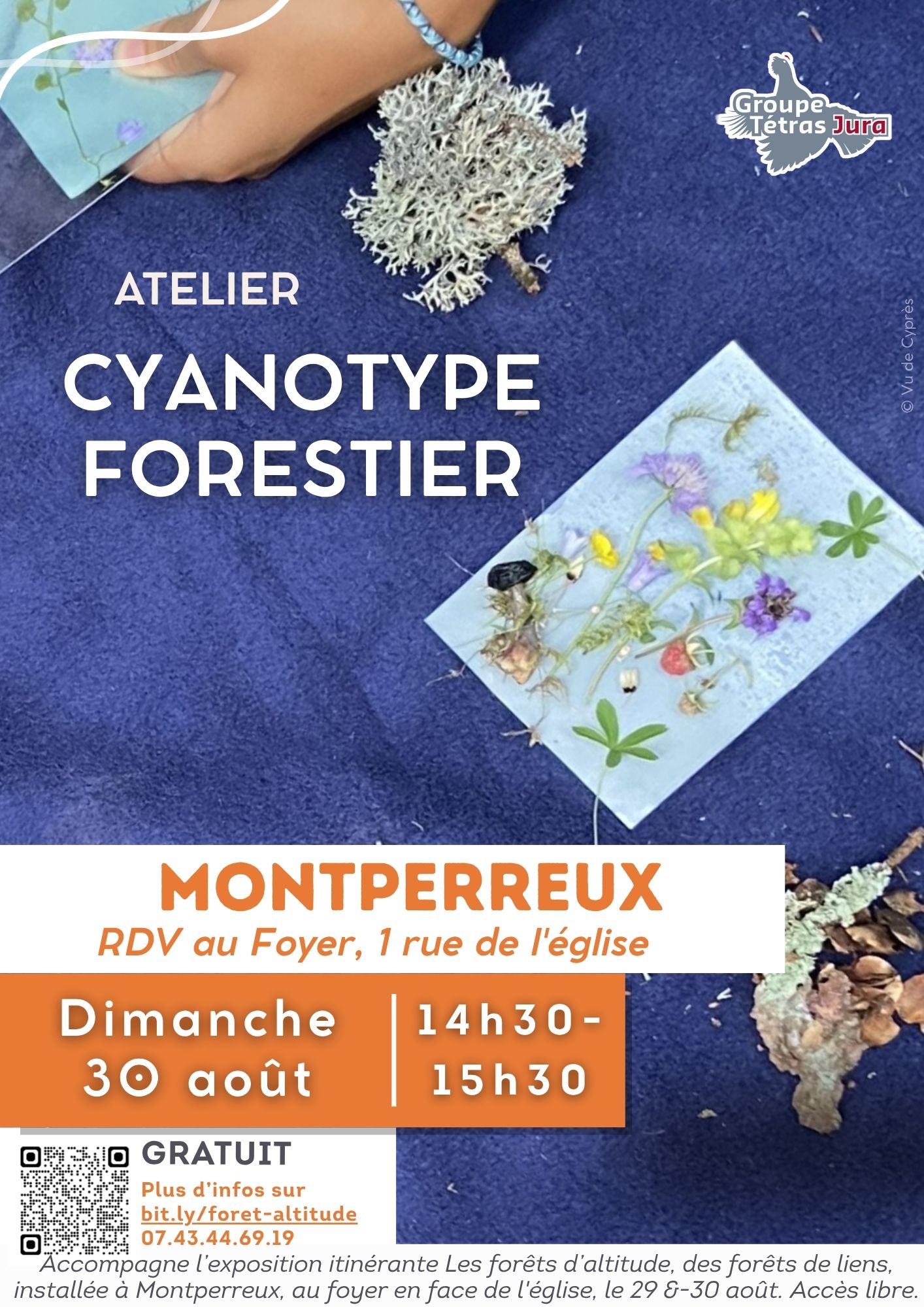 Les forêts d'altitude, des forêts de liens : Animation Cyanotype forestier