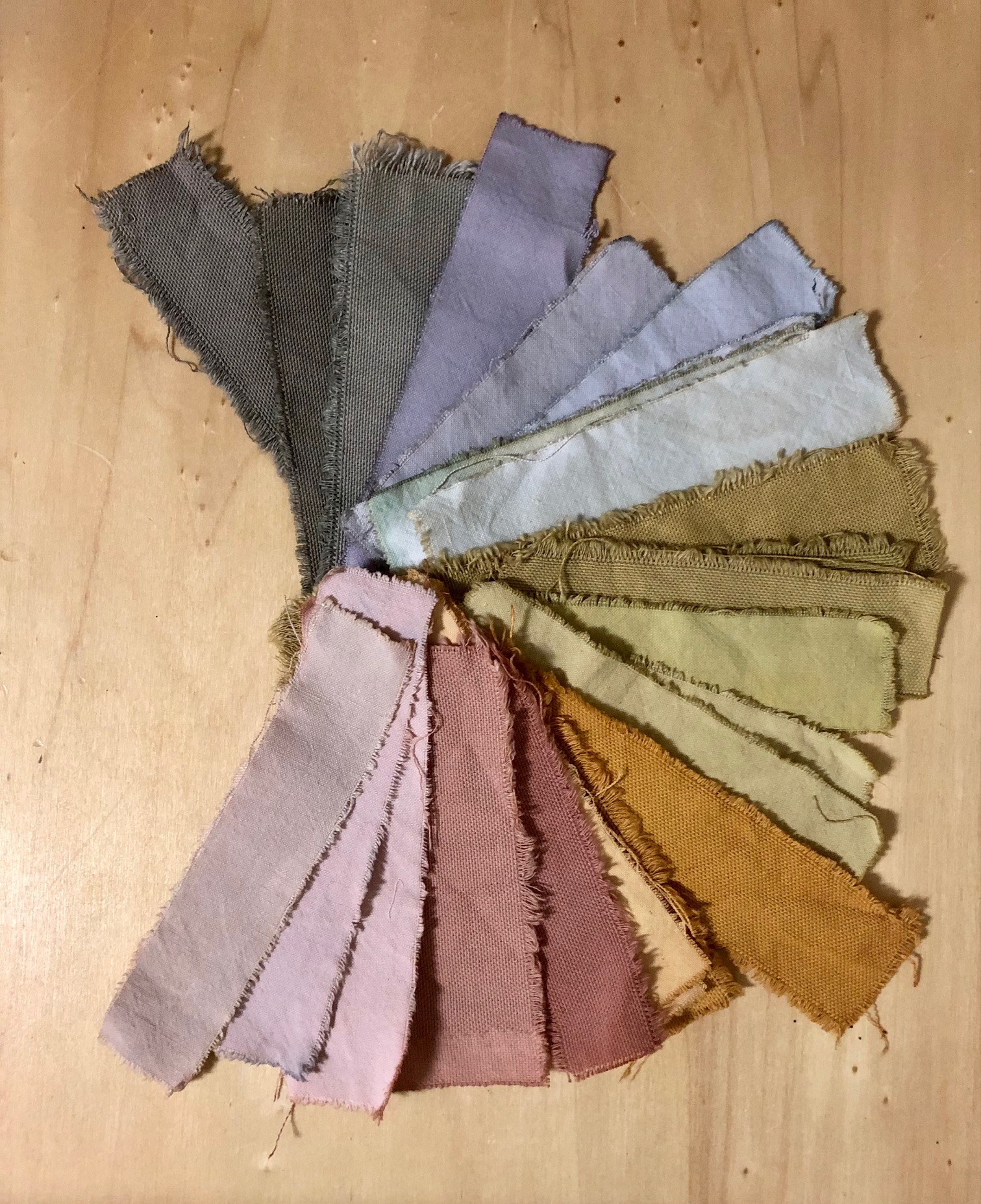 Atelier Teinture végétale