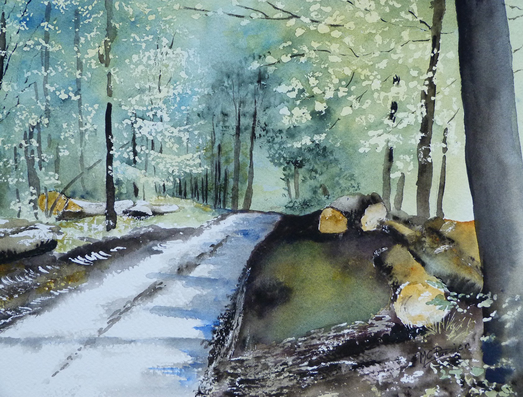 Atelier-aquarelles-Dampierre-sur-Salon