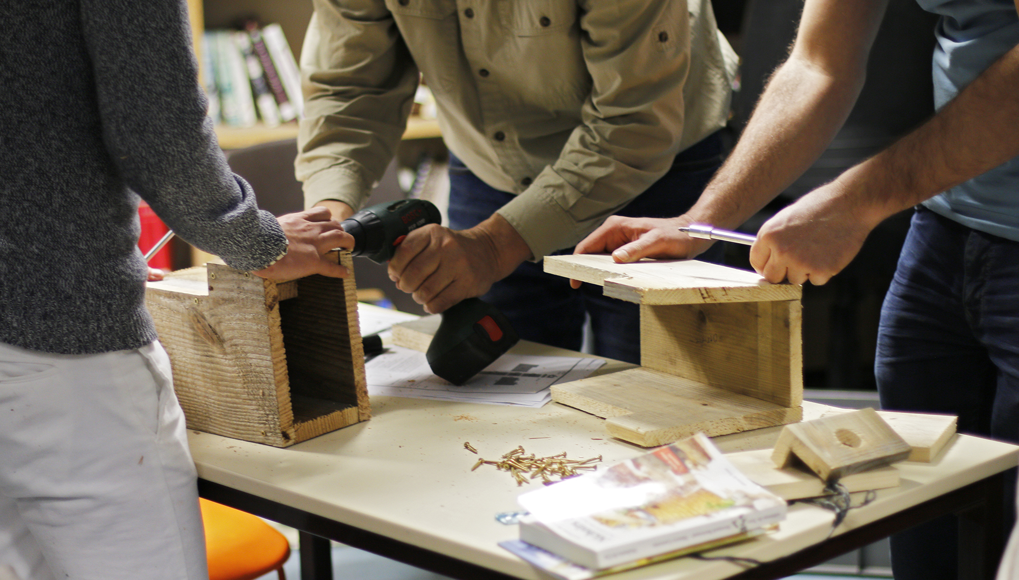 Atelier nichoir oiseaux cavernicoles