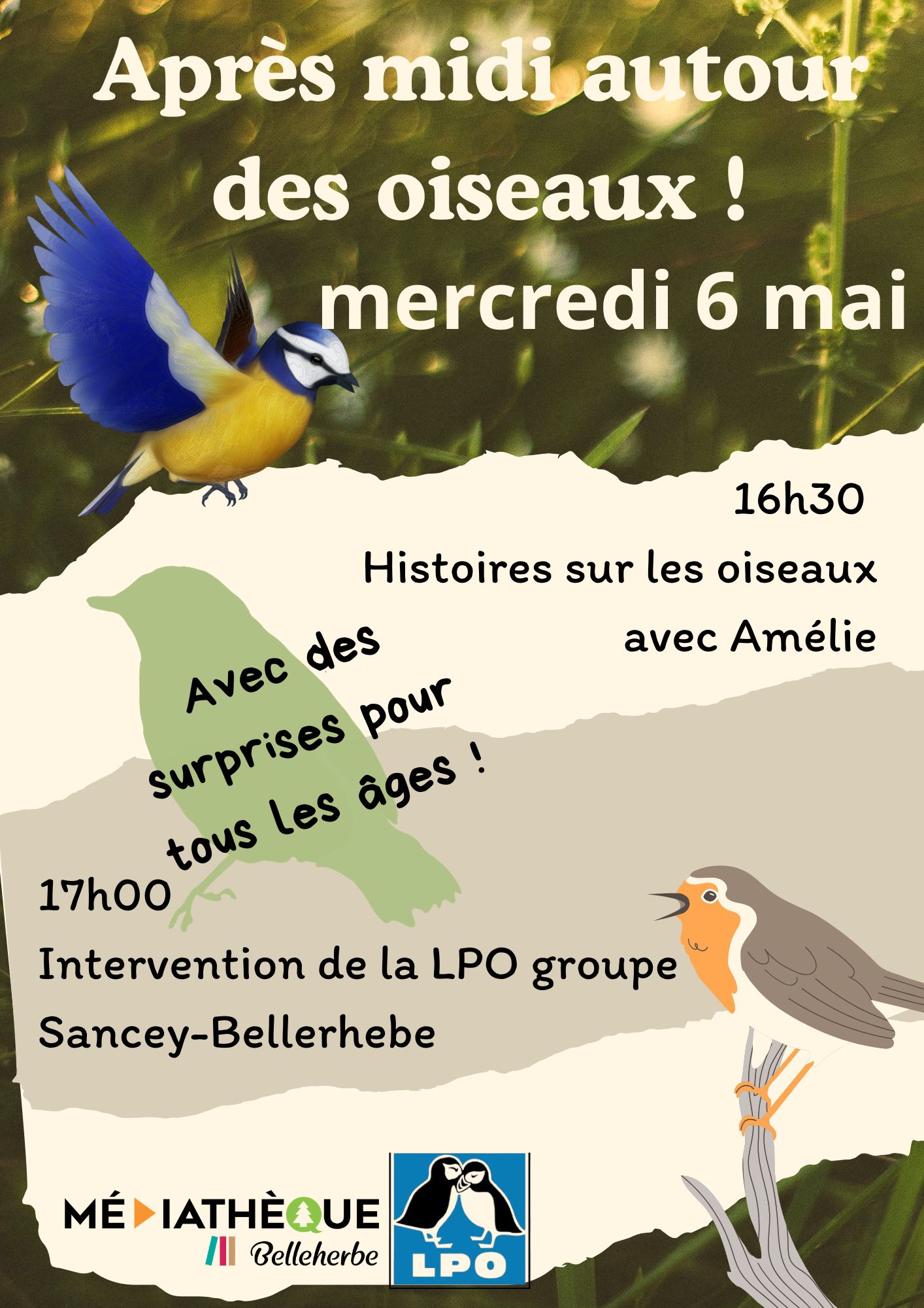 Animation autour des oiseaux