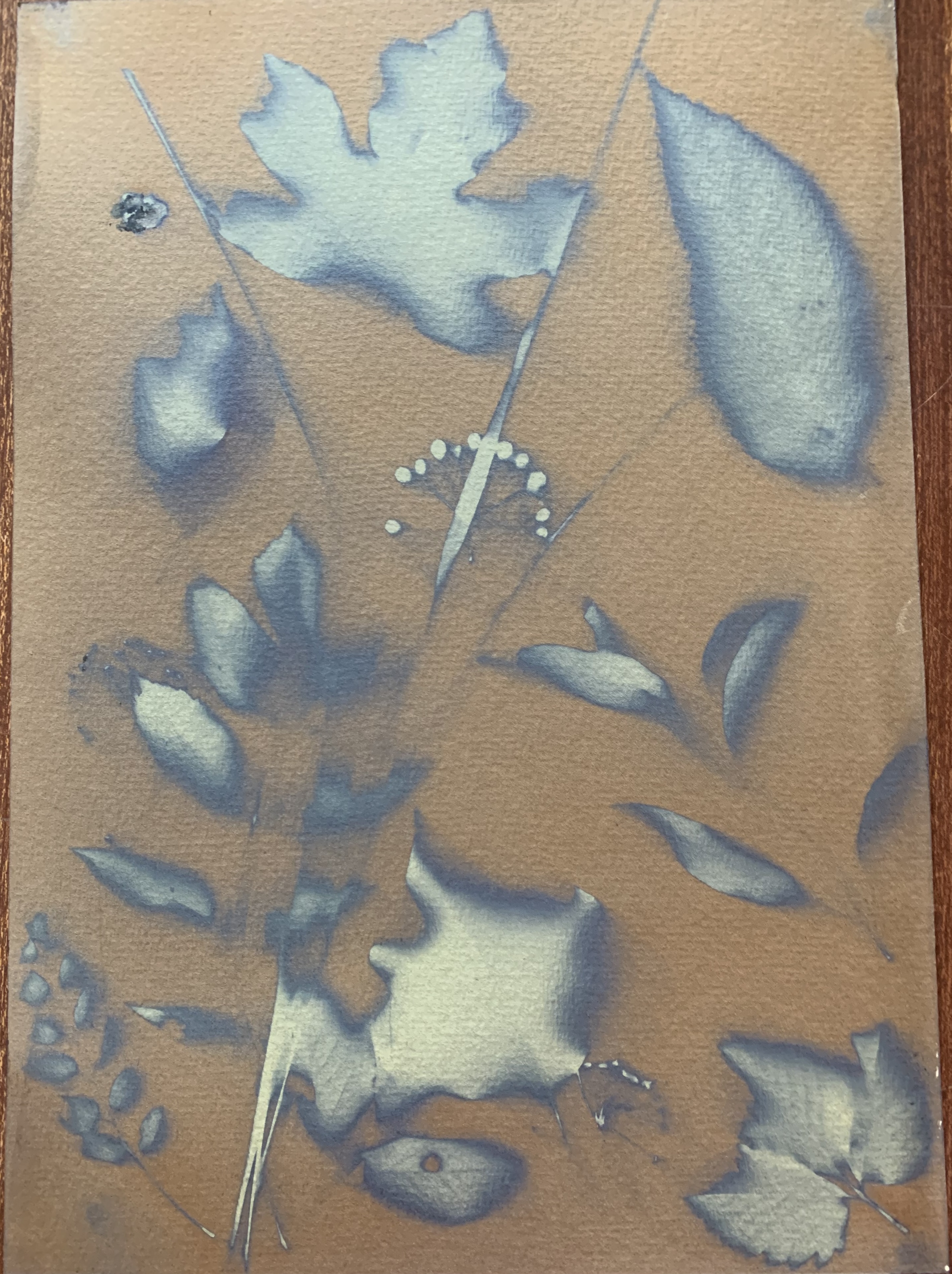 Avant rincage à l'eau