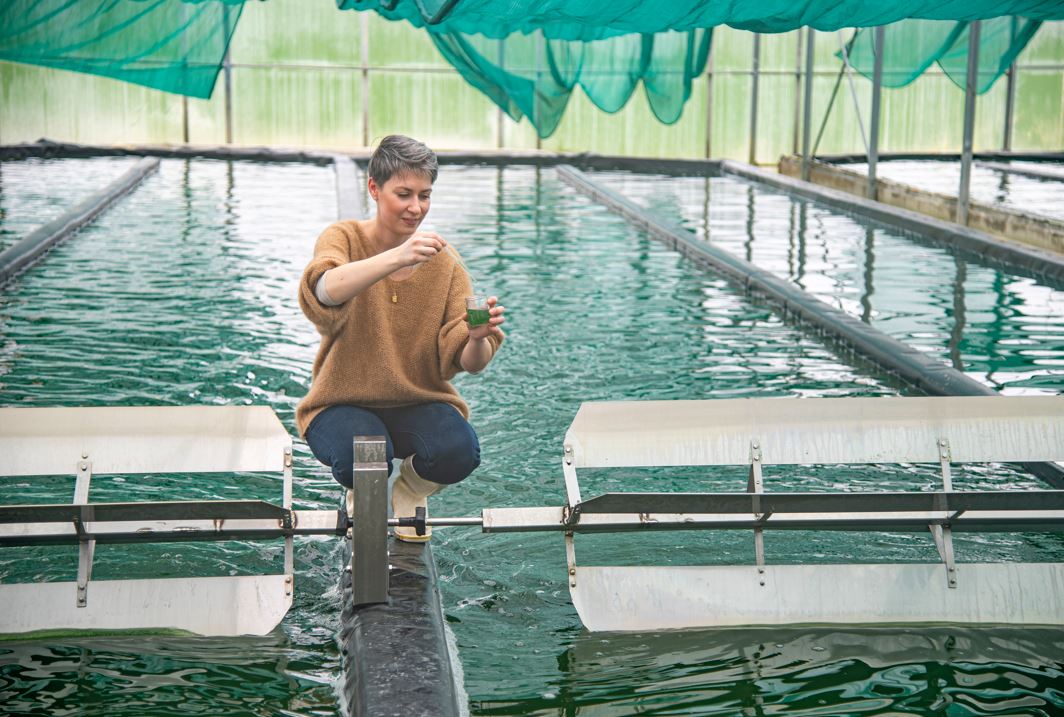 La Spiruline du Doubs