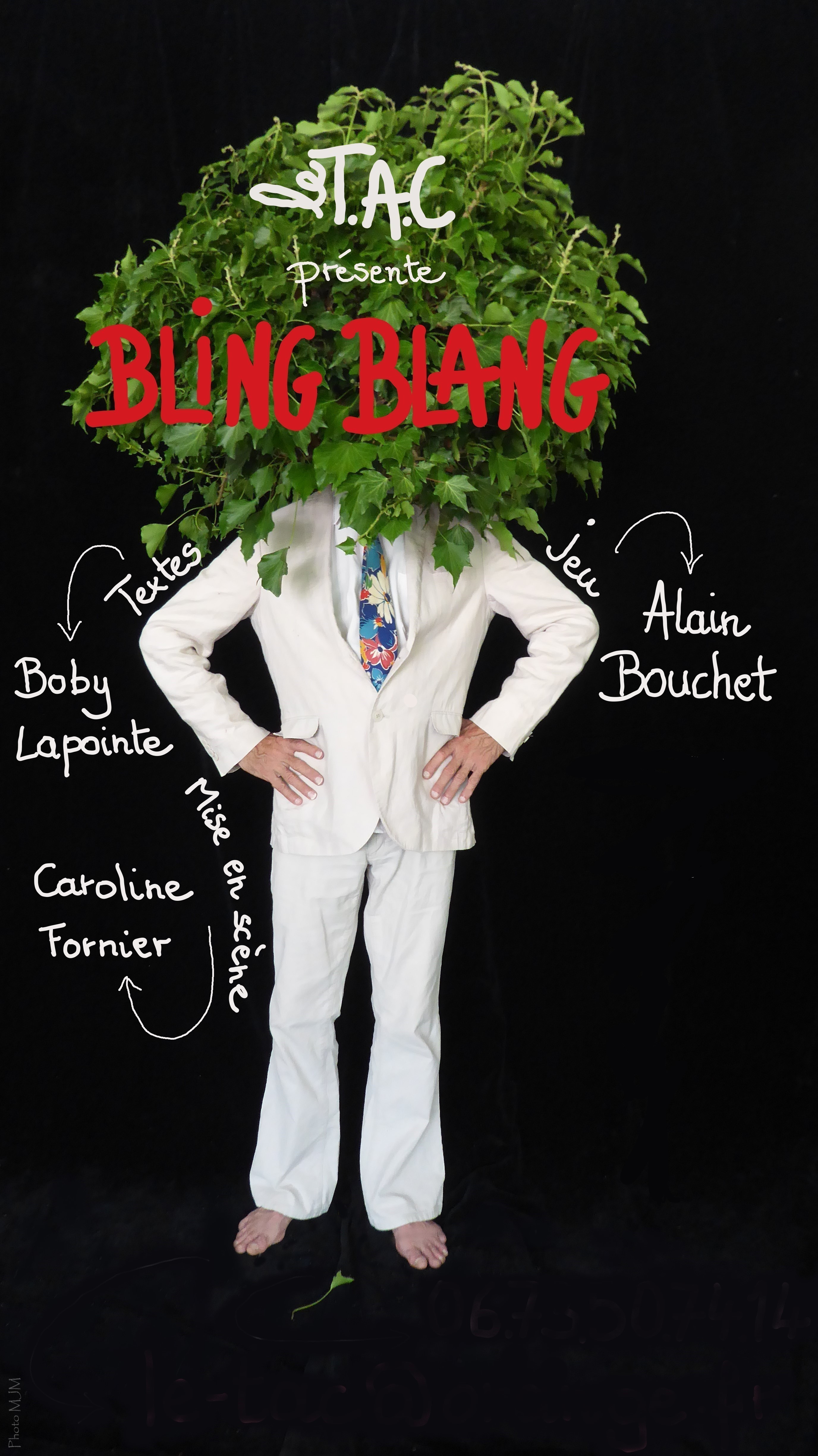  Semur Théâtre Amateur Festival - BLING BLANG
