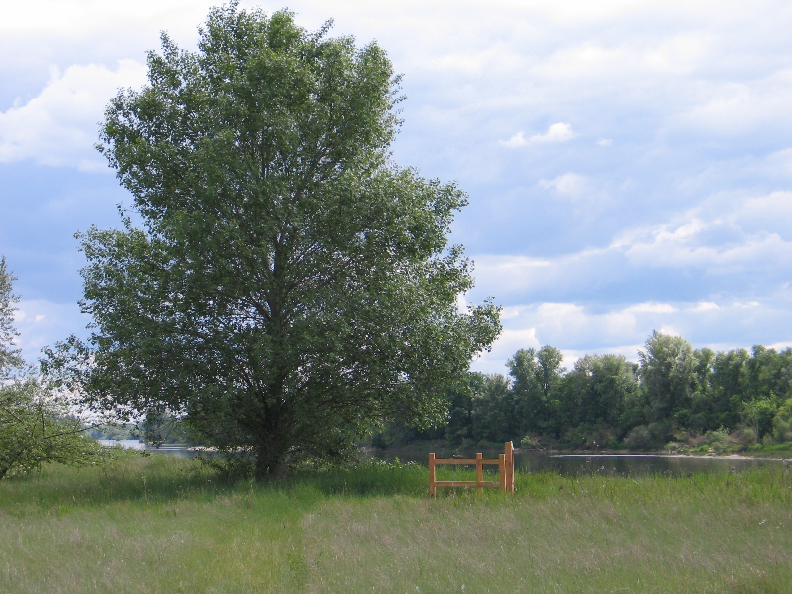 Balade en famille : Les sentiers-nature des Brocs