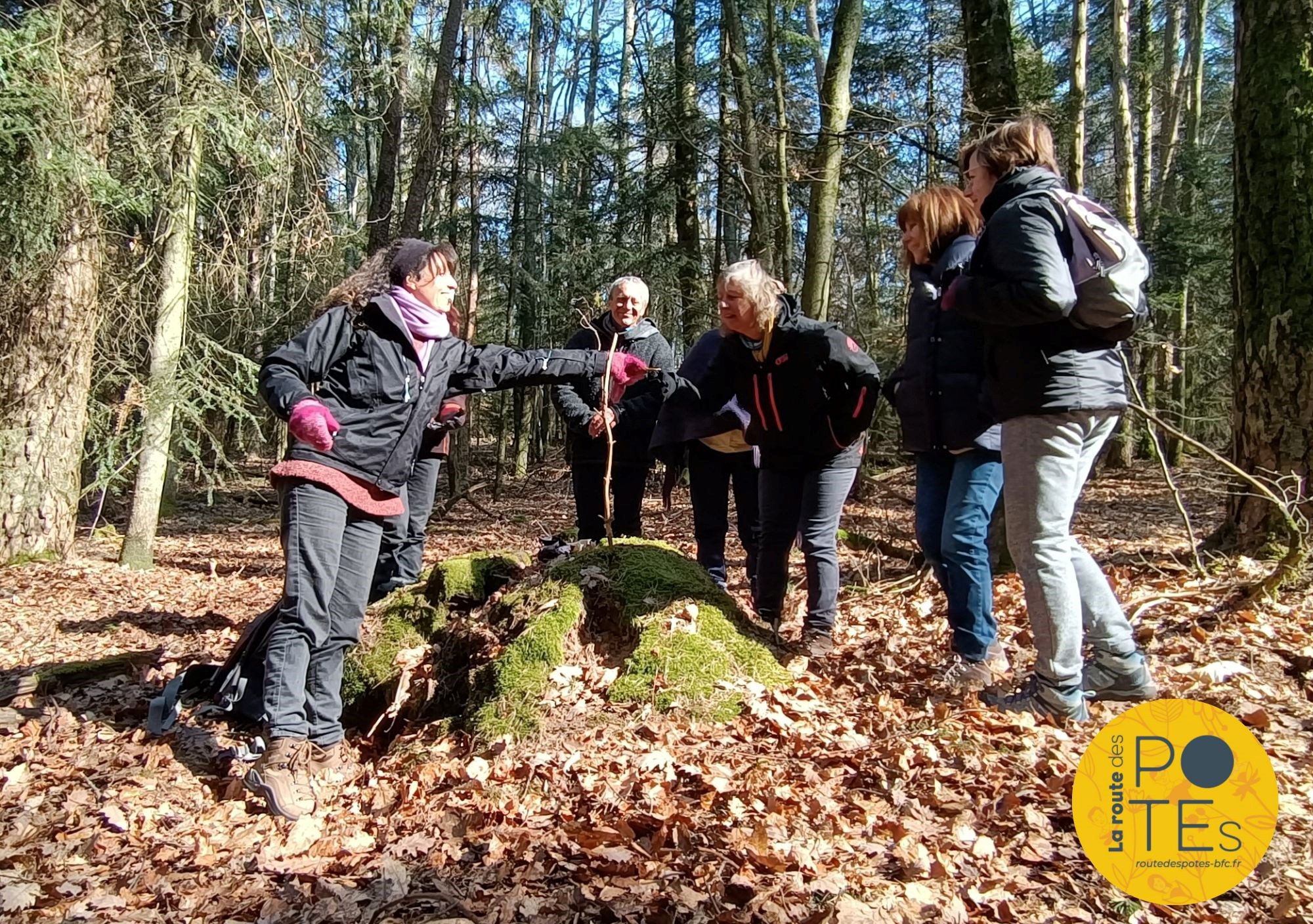 Bain de forêt 