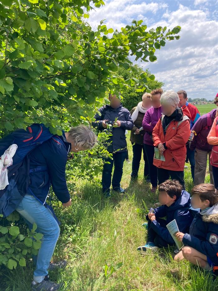 Balades naturalistes gratuites sur la nappe de Dijon Sud  et de la Cent Fonts &#8211; Parcours 2 (Saulon-la-Chapelle ; Noiron-sous-Gevrey) &#8211; ENS2024