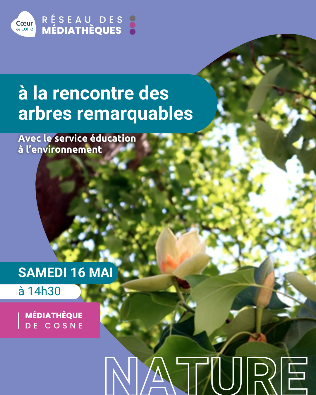 Balade à la rencontre des arbres remarquables — visuel événement