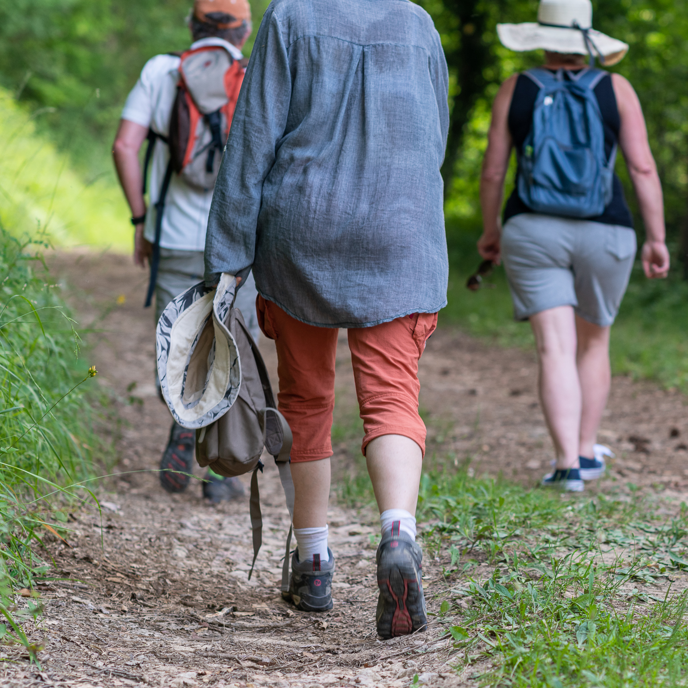 Balade à pernand-vergelesses-30_MJoly