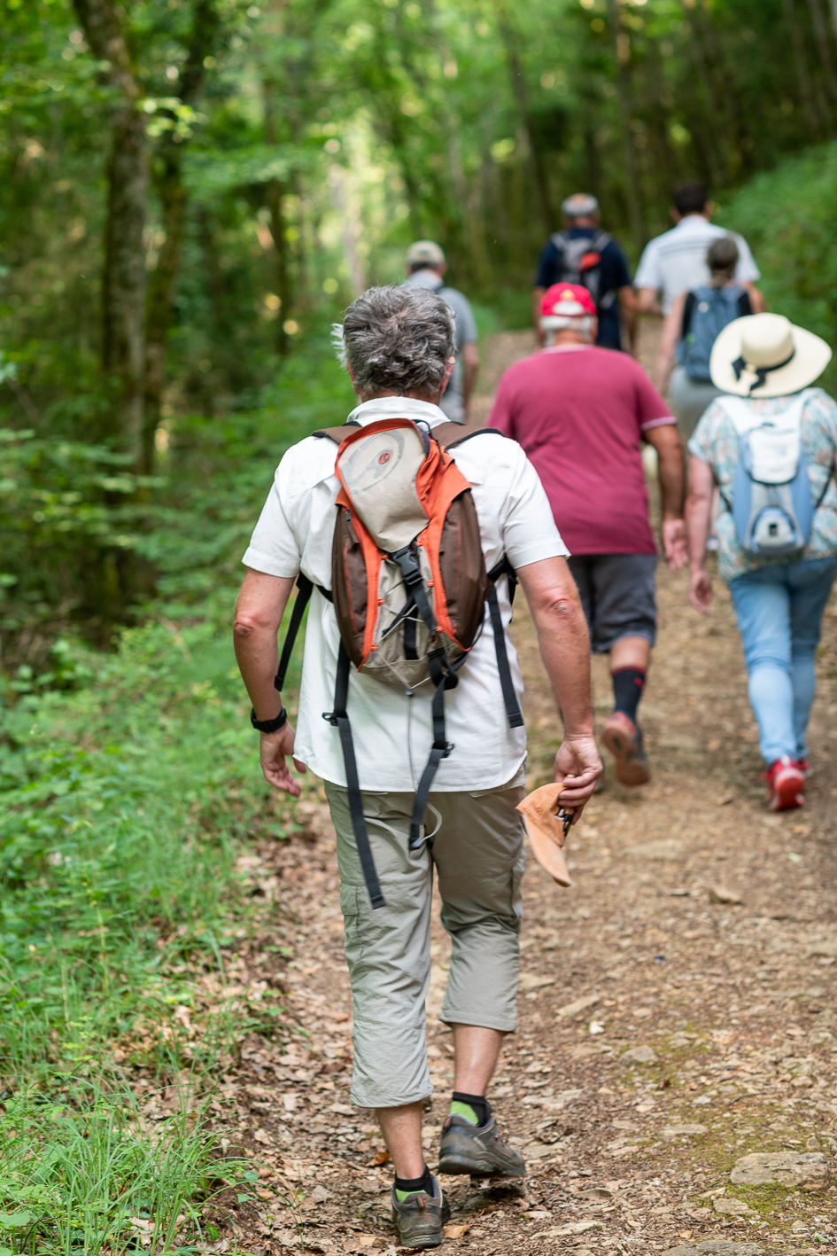 Balade à pernand-vergelesses-40_MJoly