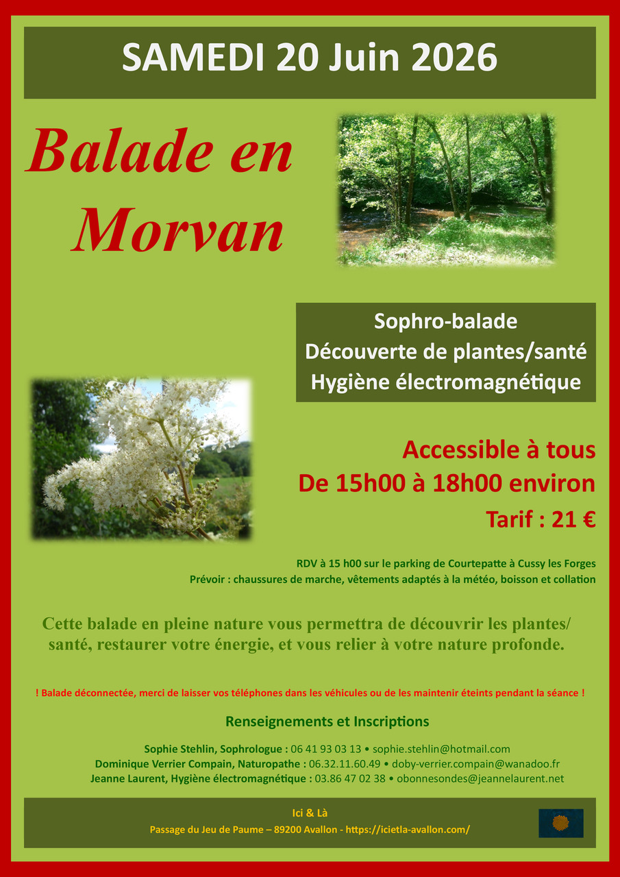 Balade déconnectée en Morvan — visuel événement