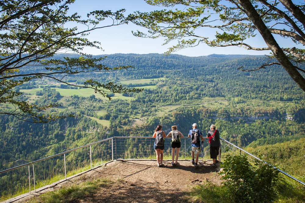 Espace Mosaïque - Balade découverte : entre Bienne et Plateau