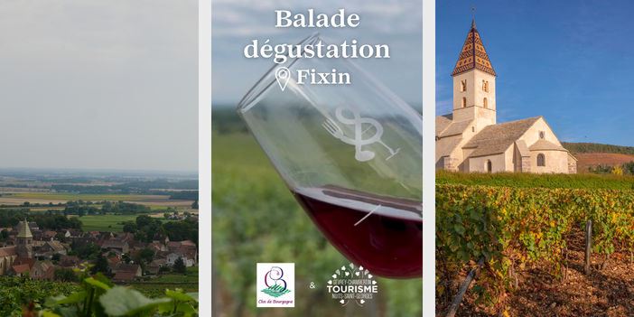 Balade dégustation dans les vignes