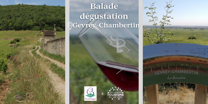 Balade dégustation dans les vignes