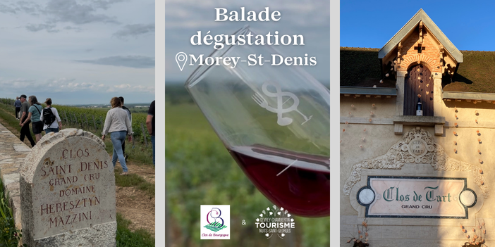 Balade dégustation dans les vignes
