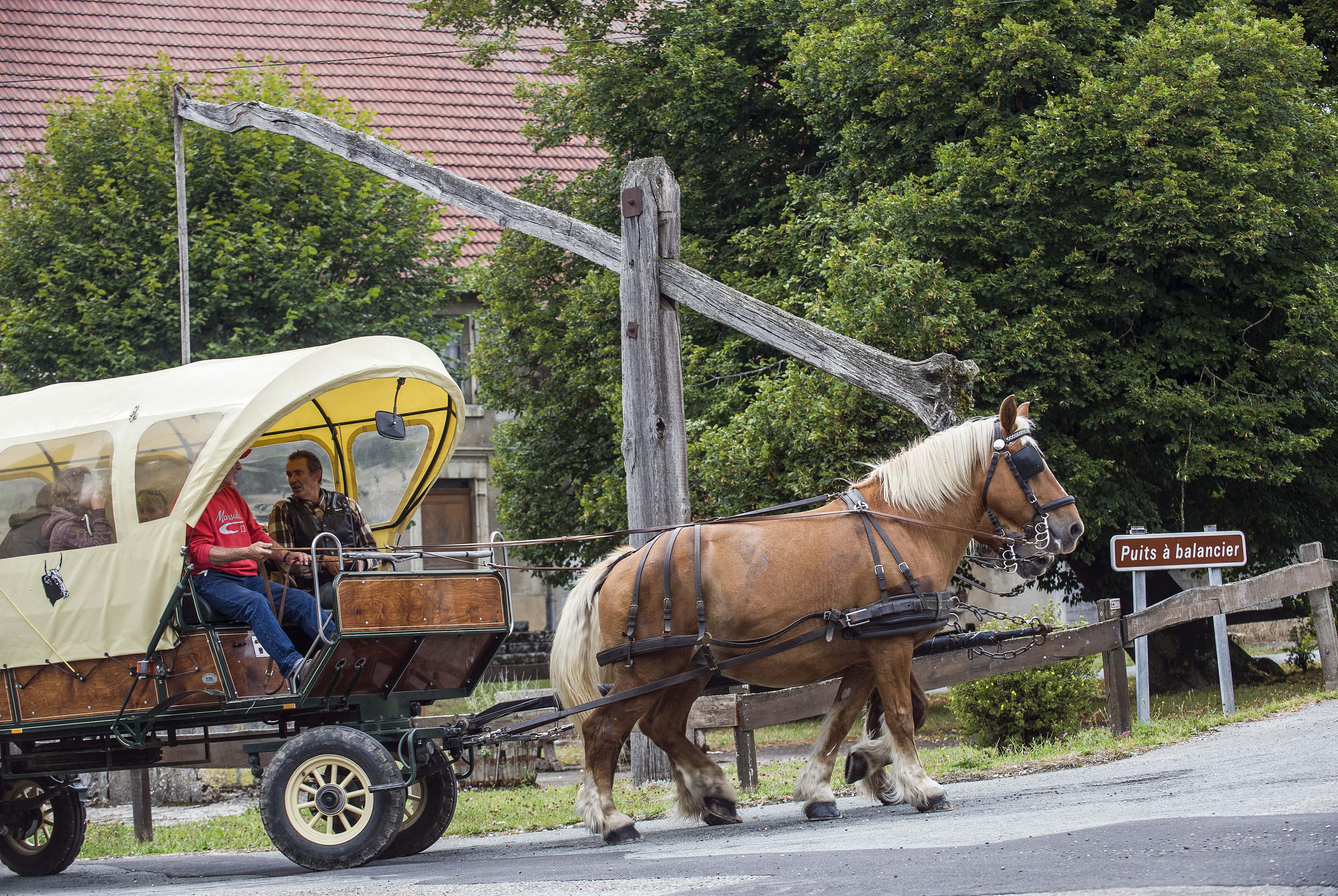 Balade en calèche