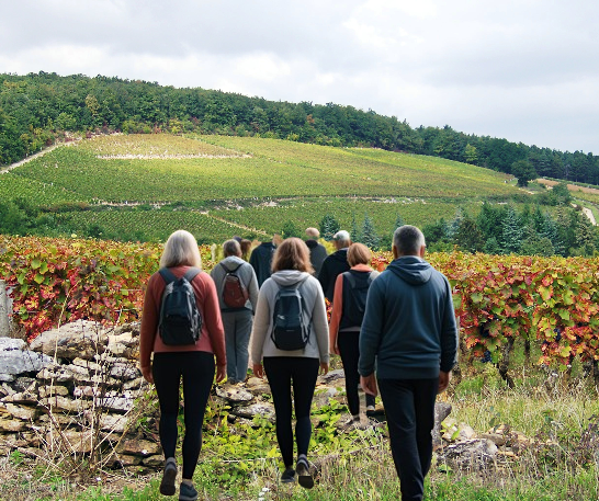 Balade-intuitive_et-sensorielle-dans les-vignes
