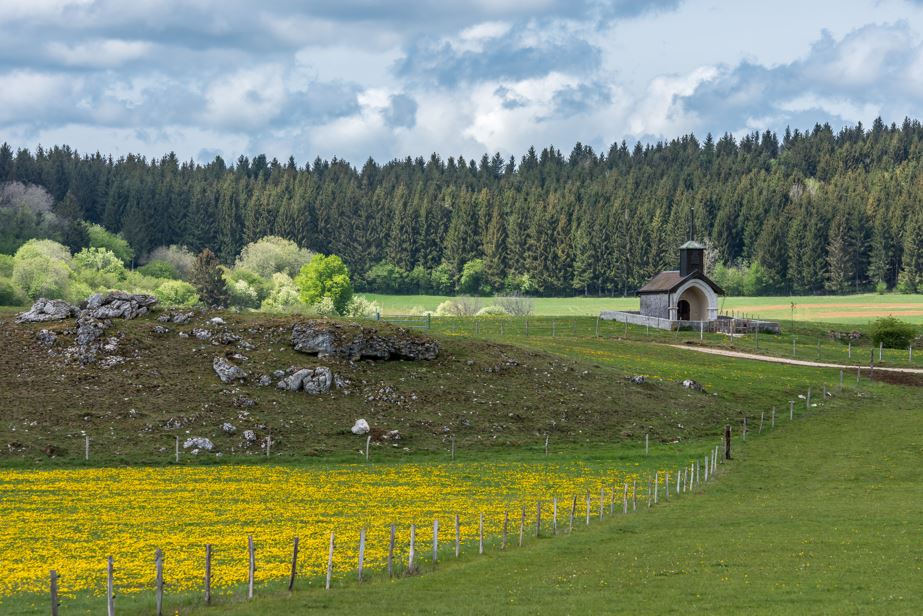 S'émerveiller de nos capacités d'orienteur