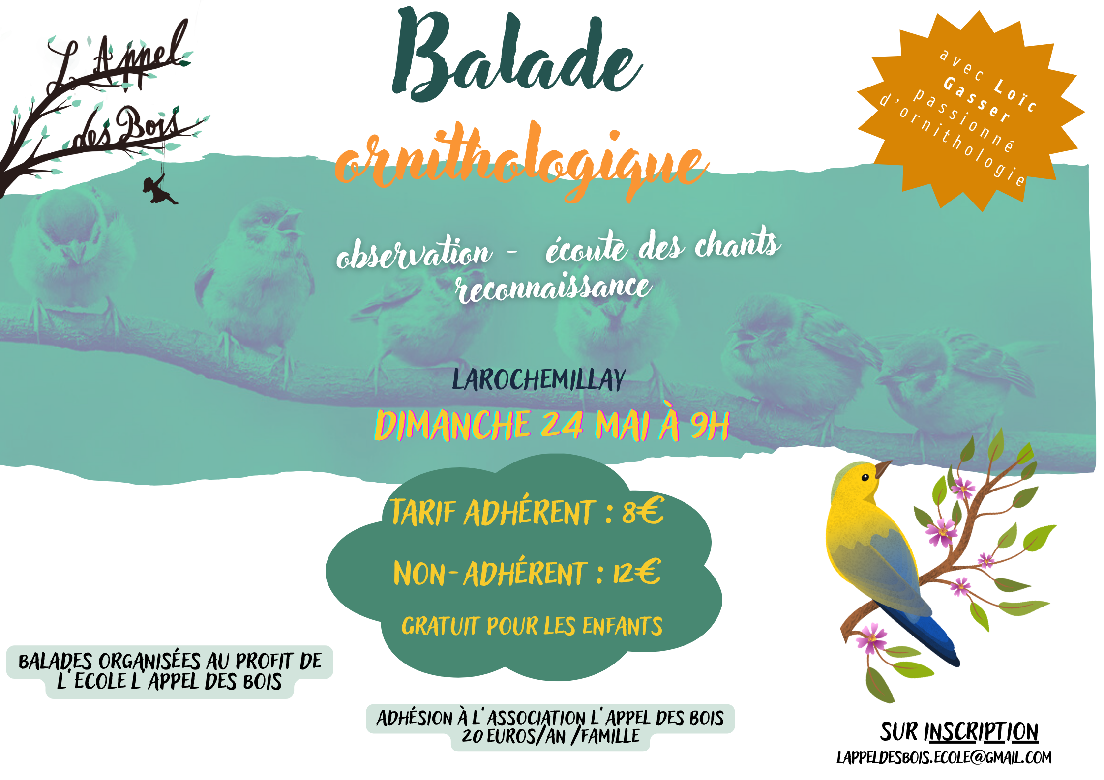 Balade ornithologique — visuel événement