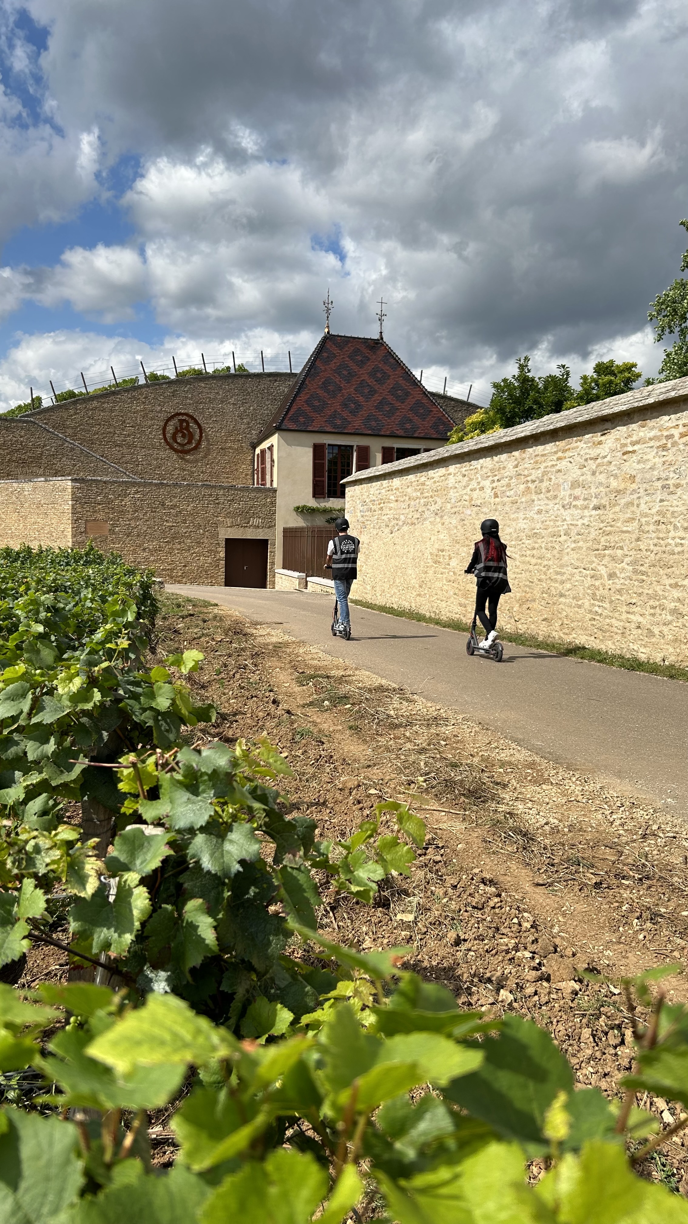 Balade trott - AT (8)