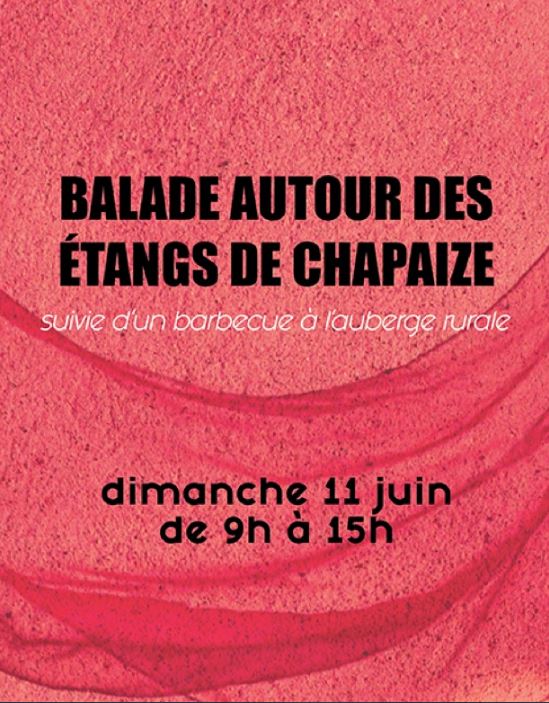 Balades étangs chapaize