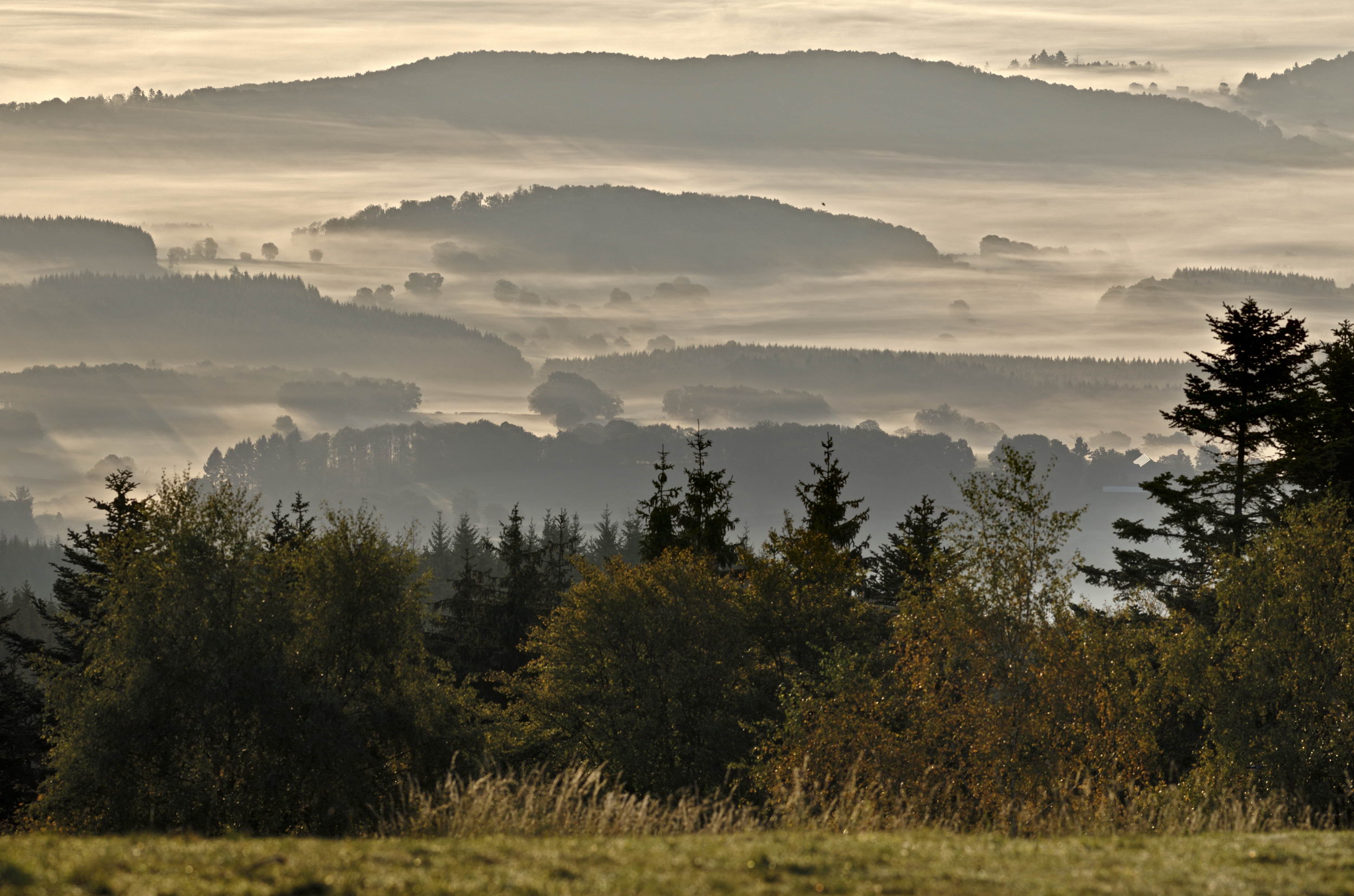 Vers les Bois du Folin