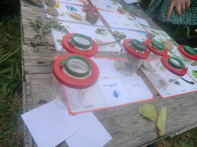 Bingo Nature