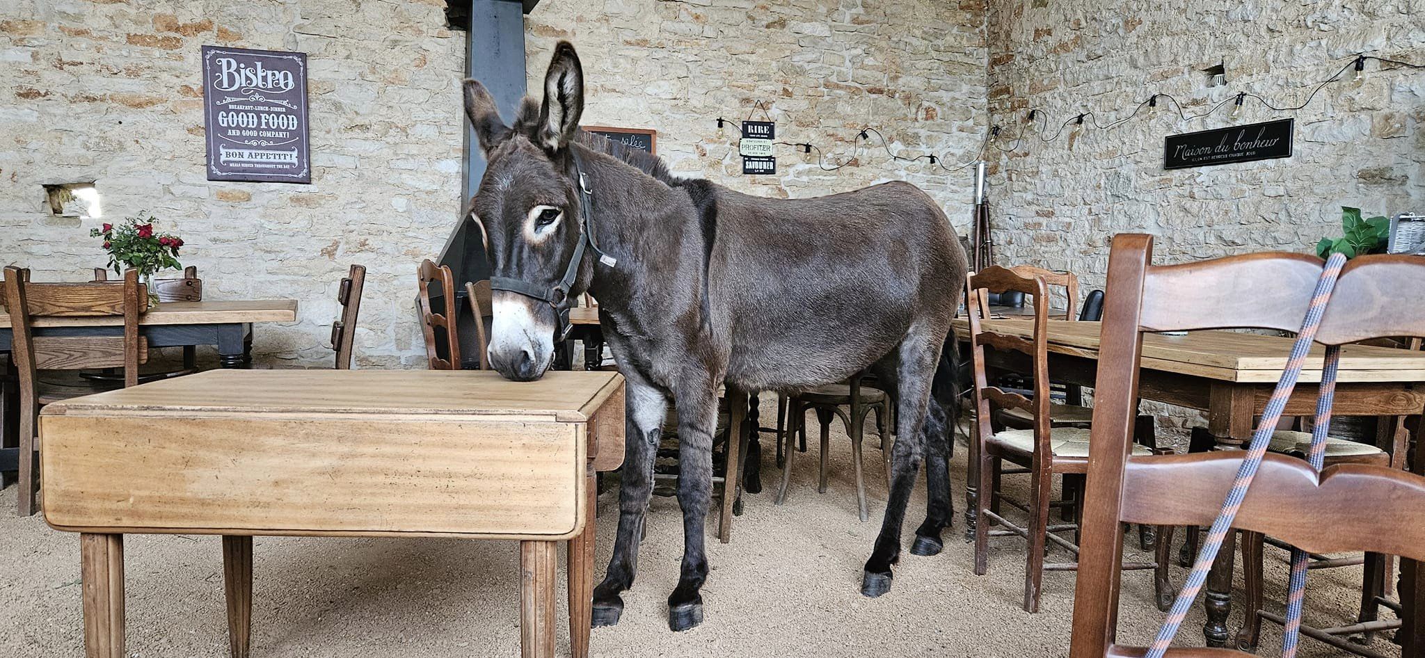 Bistrot Donkey'Ane