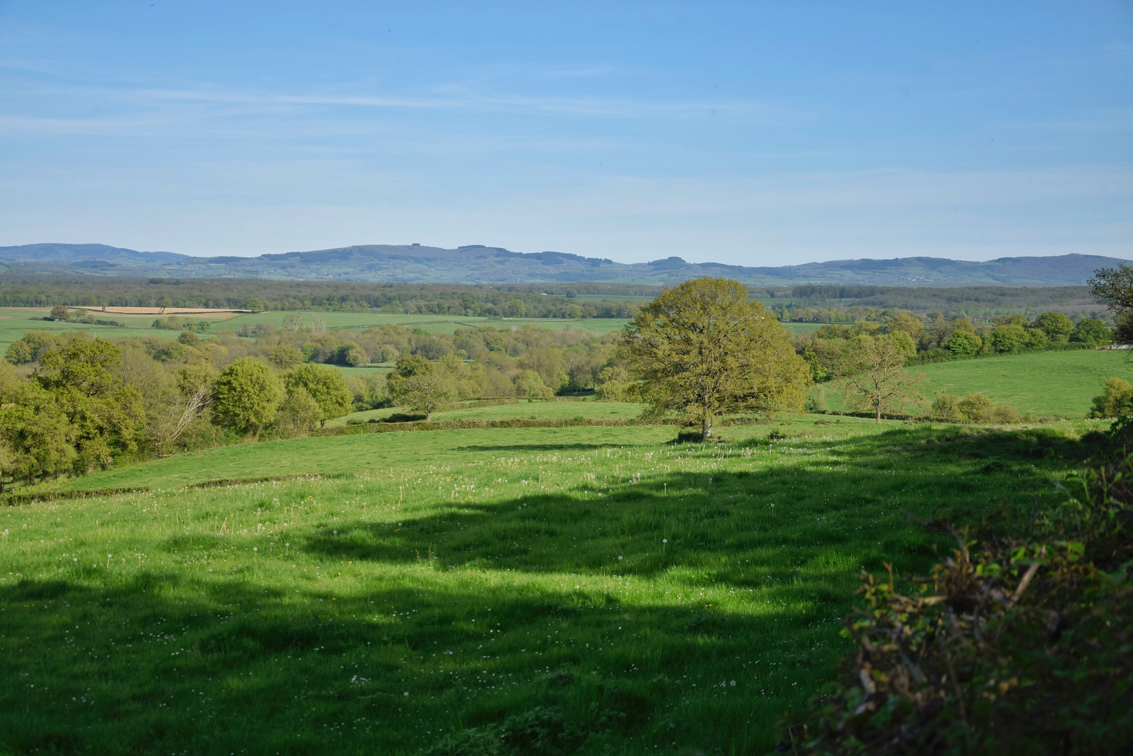 Morvan bocage