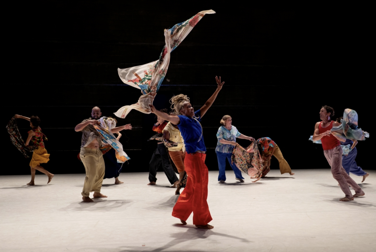 Spectacle Border Dance, Taoufiq Izeddiou, Cie Anania Danses