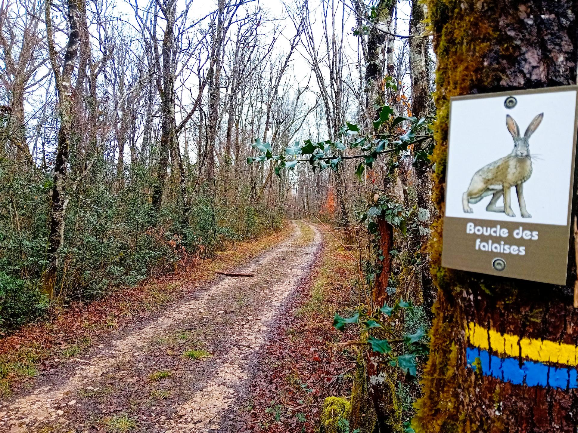 Boucle des Falaises Cussey-sur-Lison © Marie Pezzoli OT Destination loue Lison