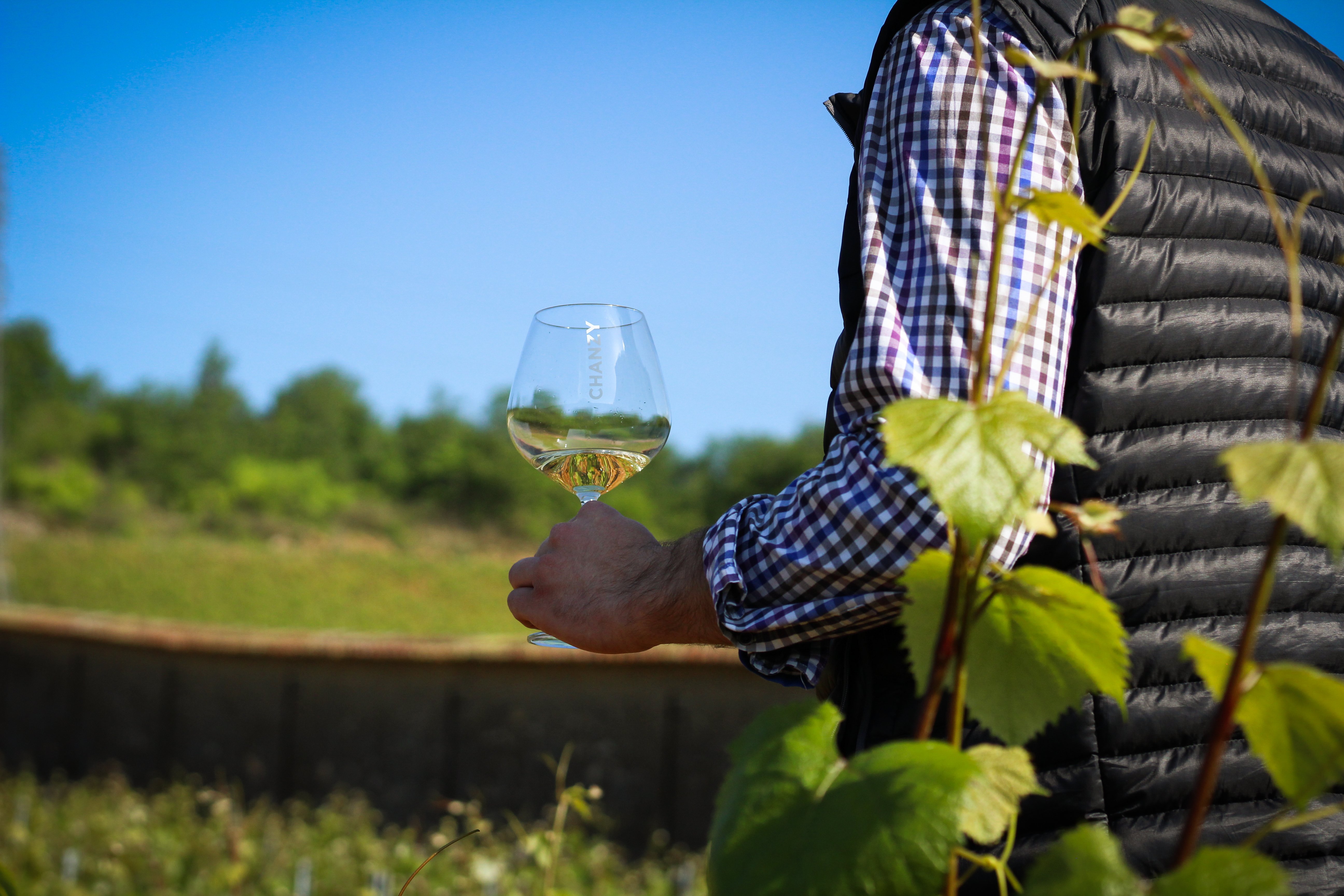 Bouzeron - Oenotourisme - Dégustation - Vins - Domaine - 2019 (6)
