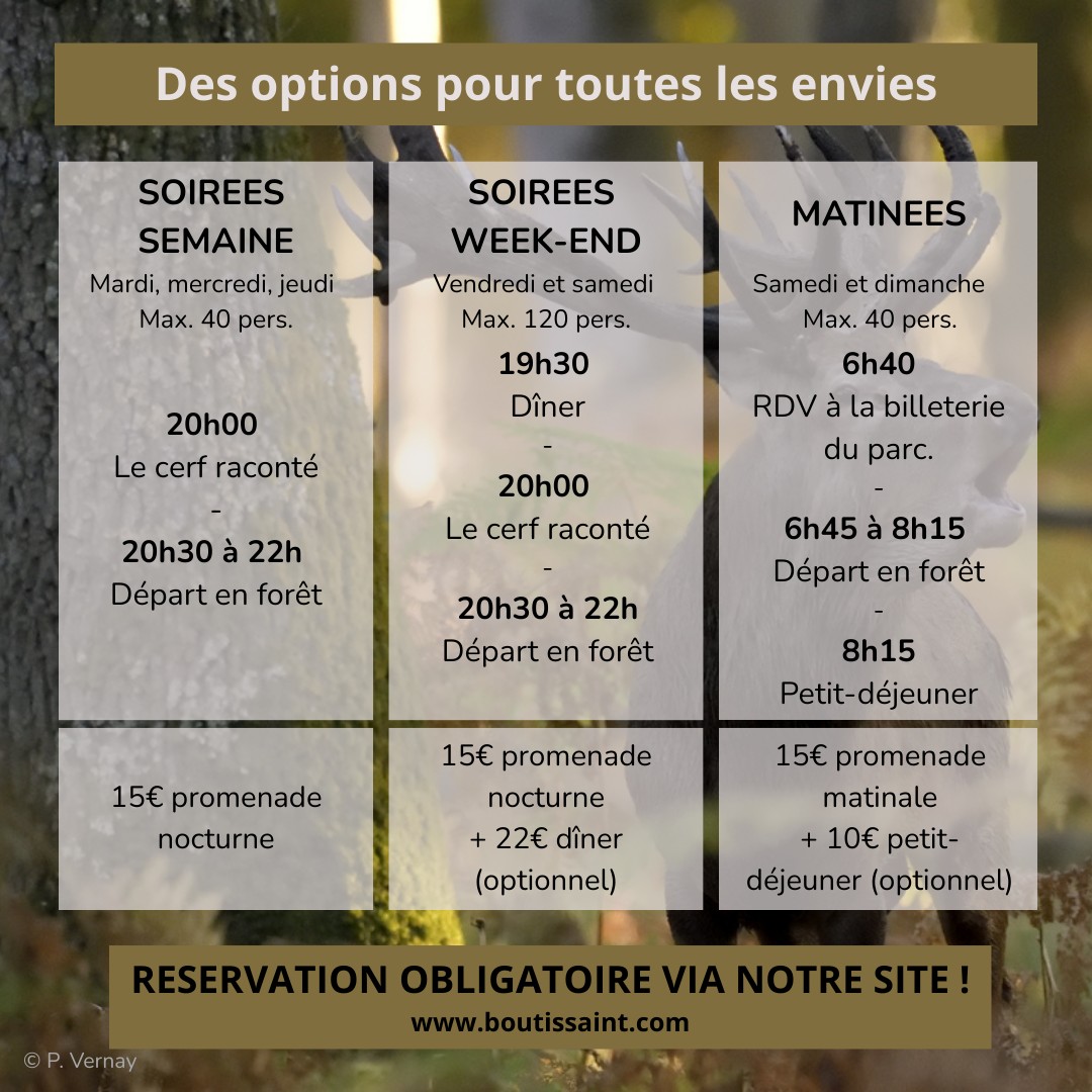 Média additionnel 1
