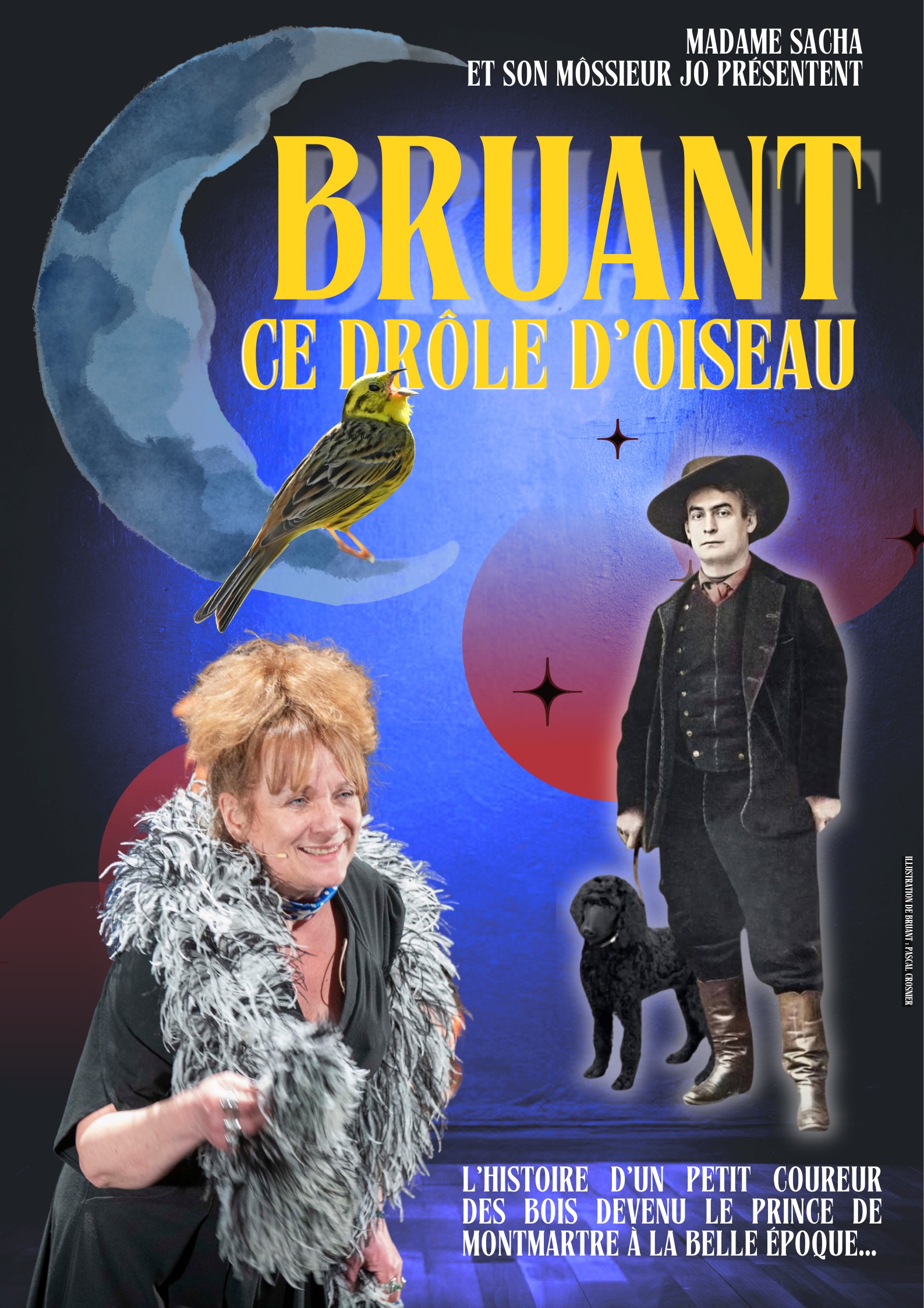 Balade nocturne du Ferrier de Tannerre - Bruant ce drôle d'oiseau