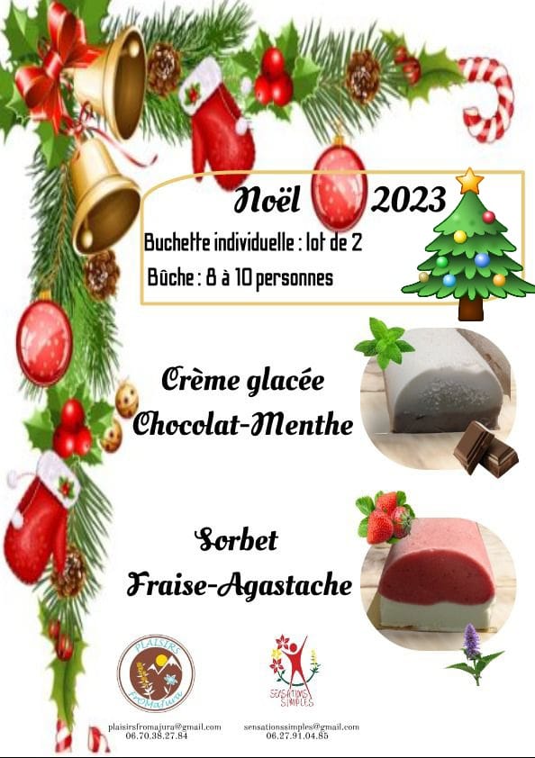 Bûches de Noël Plaisirs FromaJura