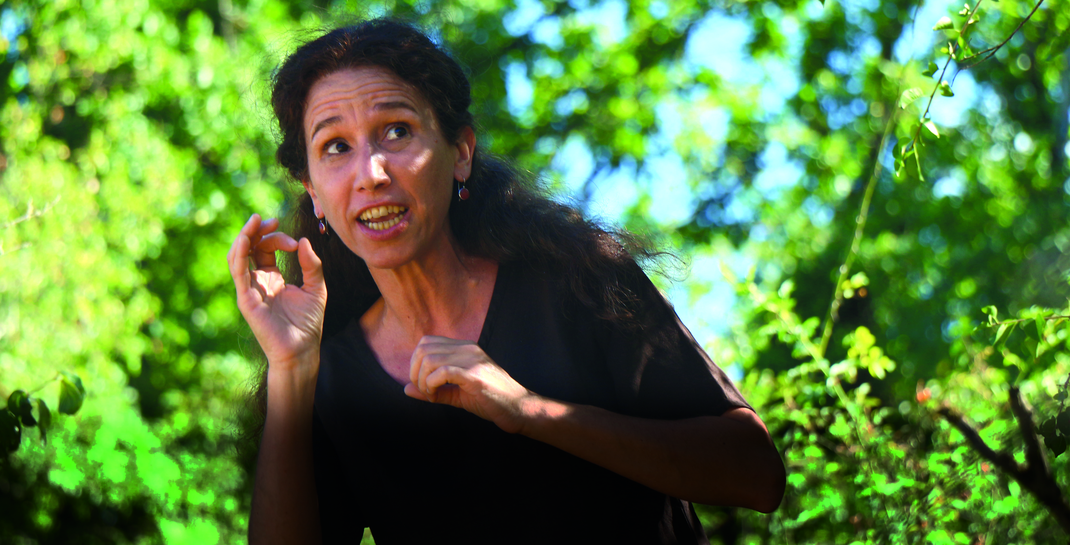 C. Bertocchi sans texte