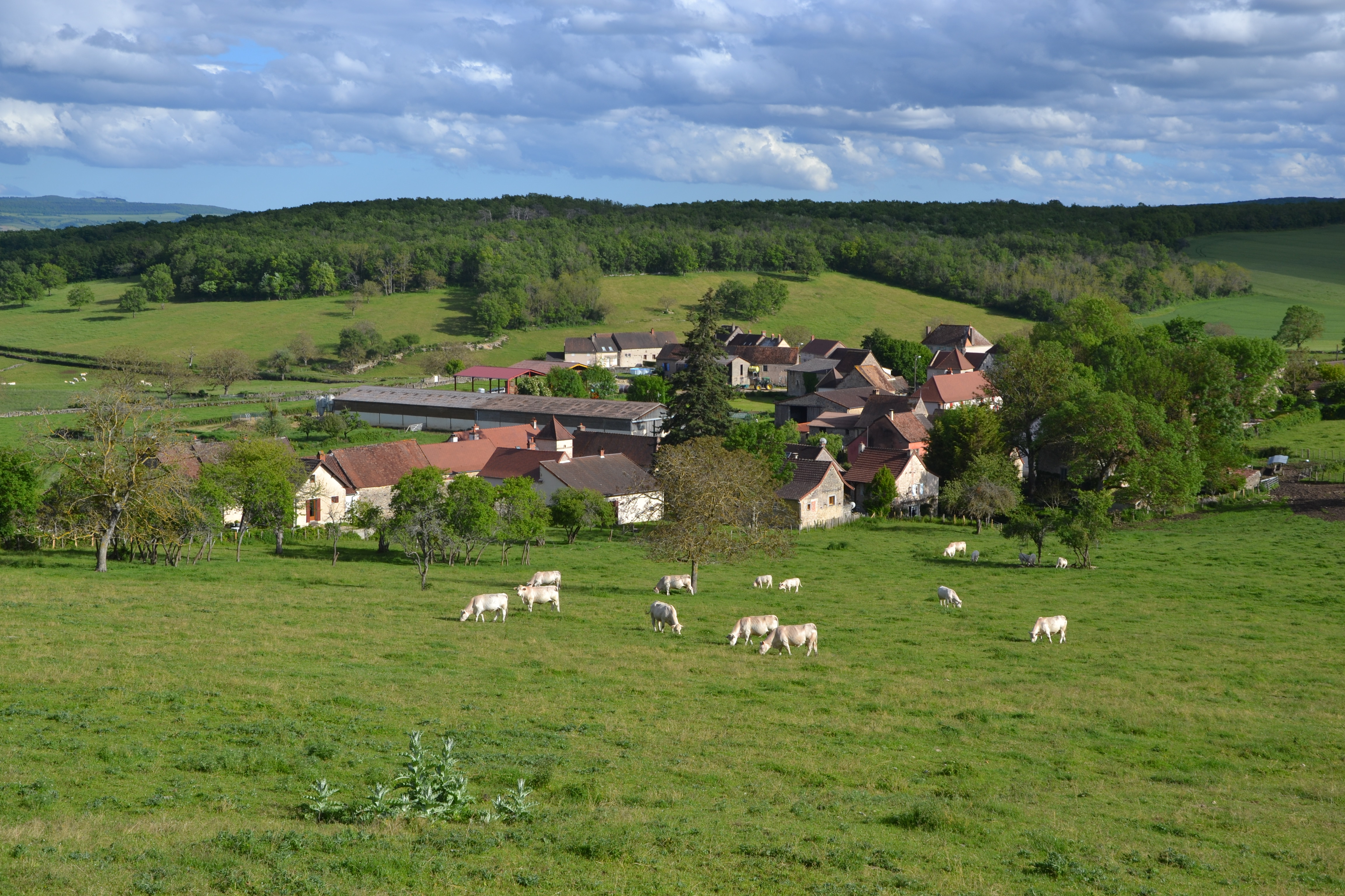 Le village