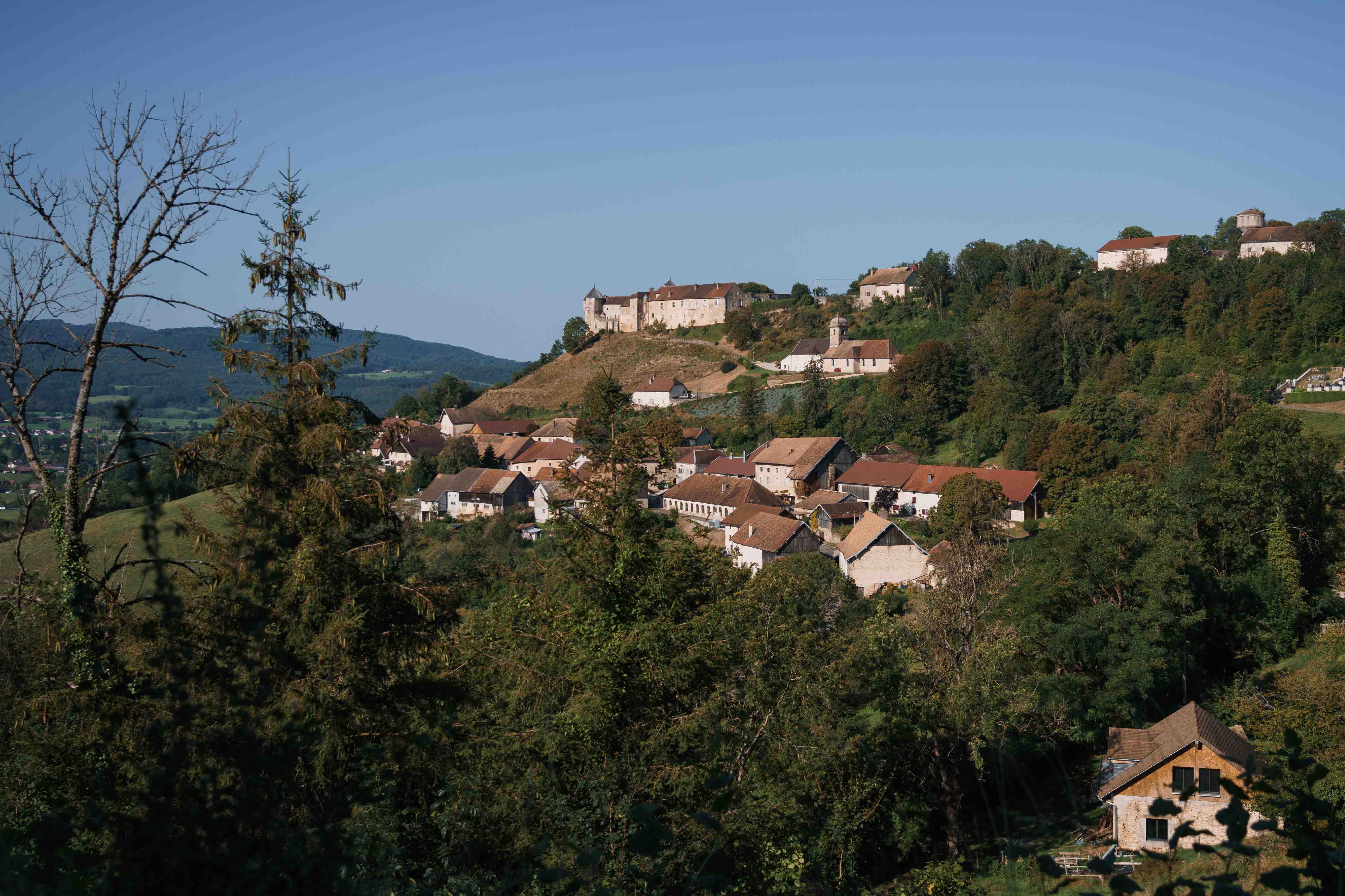 Visite de l'Espace Naturel Sensible (ENS) de Belvoir