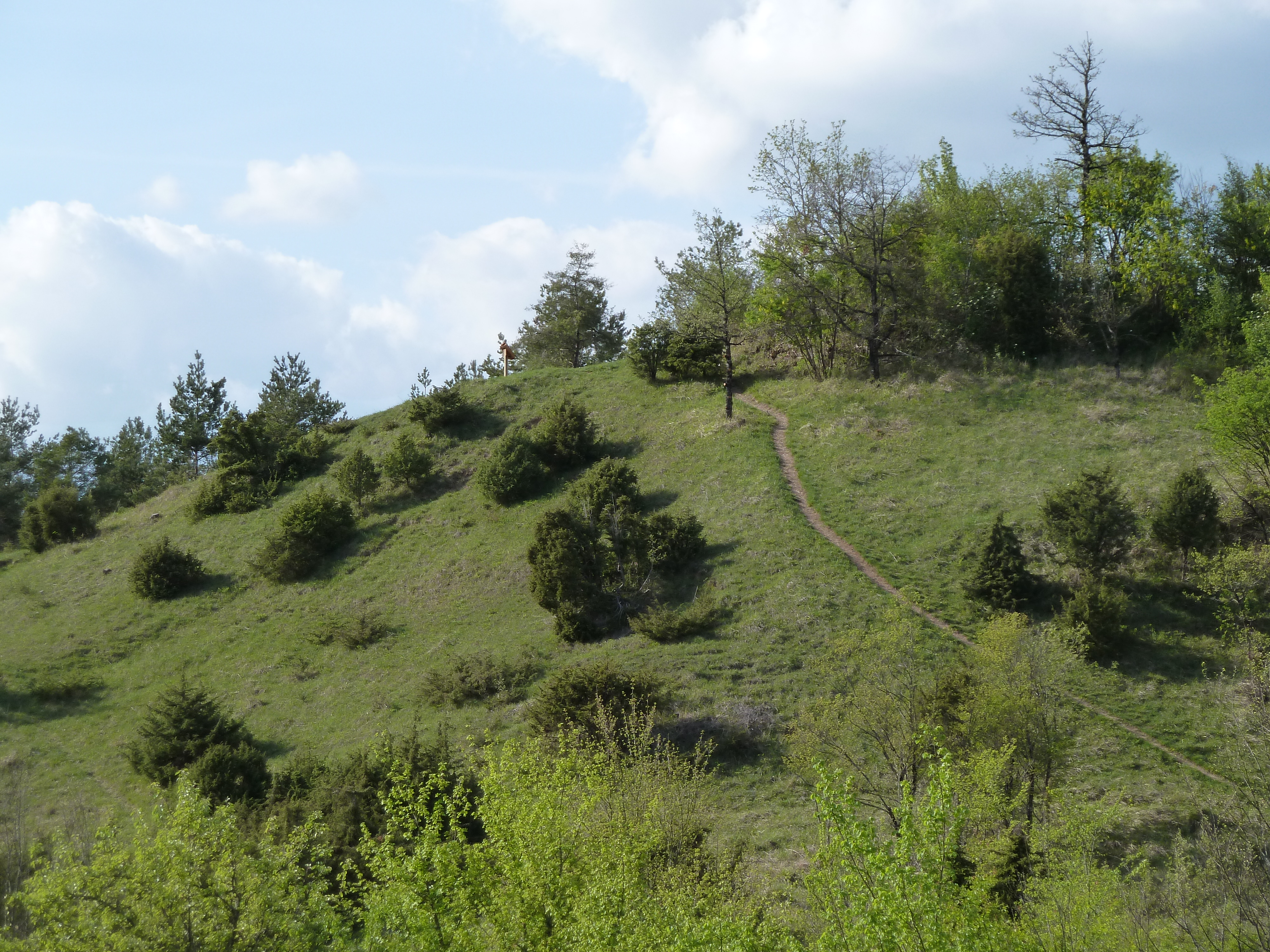 Balade en famille : le sentier-nature du Coteau du Chaumois, Parigny-les-Vaux