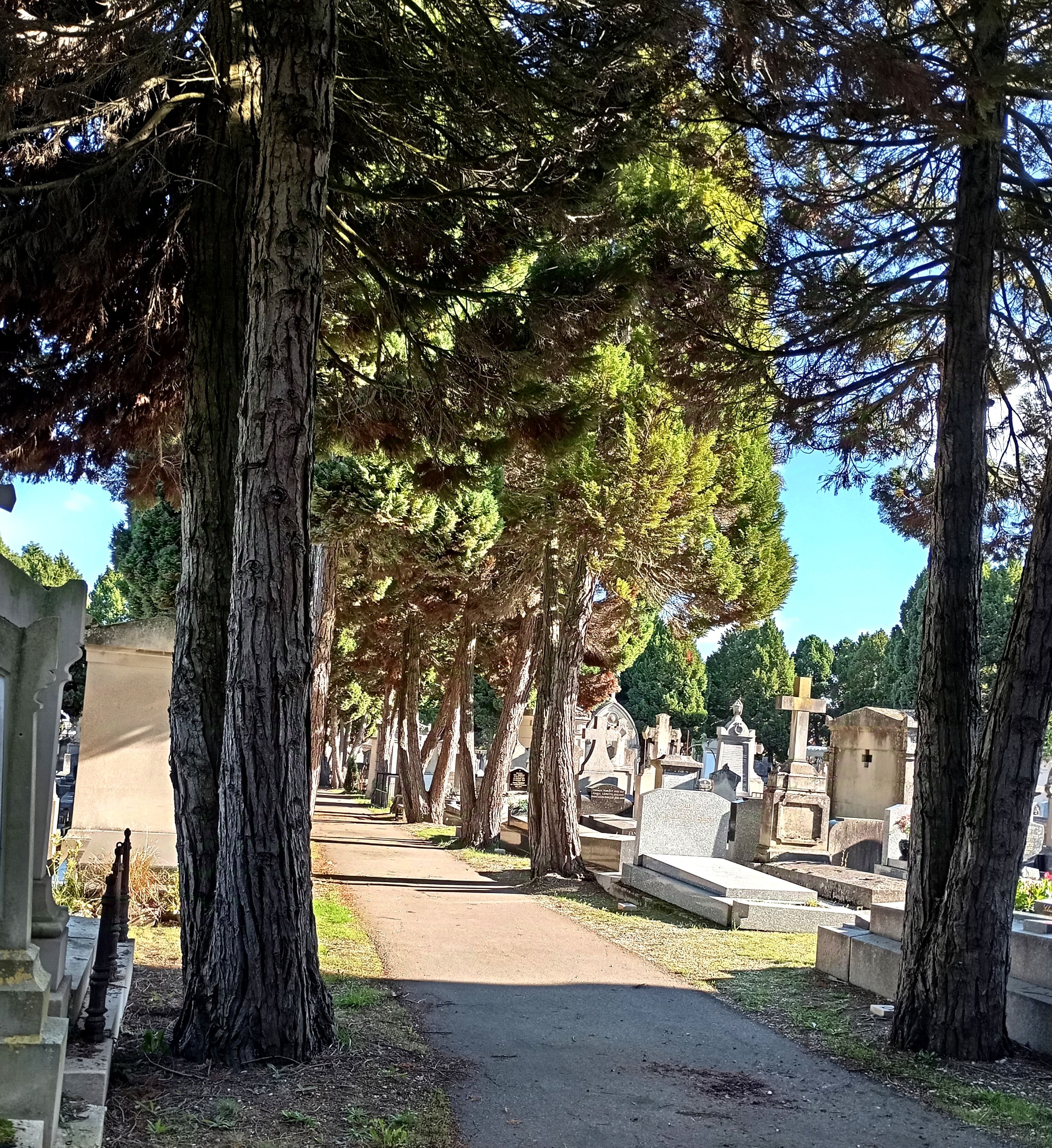 Le cimetière Saint Amâtre, un chef-d’œuvre du XIXe
