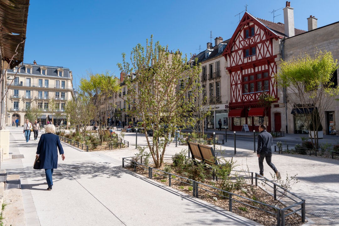Dijon Underground : De vignes en caves