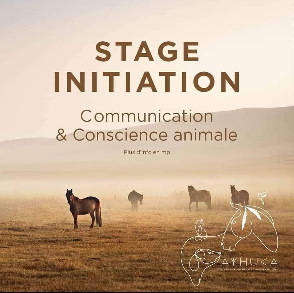 INITIATION COMMUNICATION ANIMALE