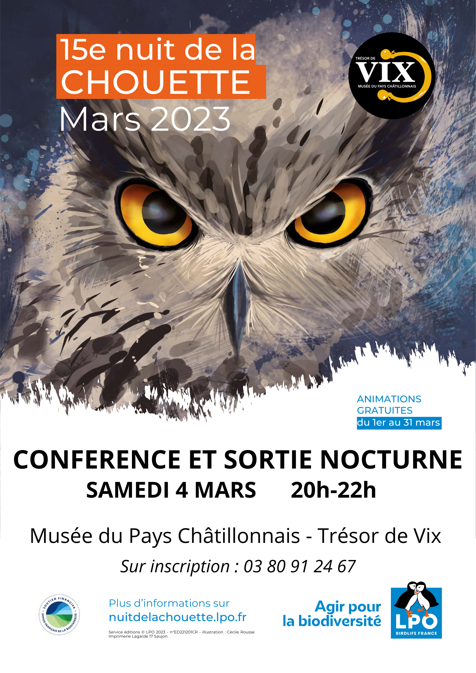 Nuit de la Chouette au musée du Pays Châtillonnais - Trésor de Vix
