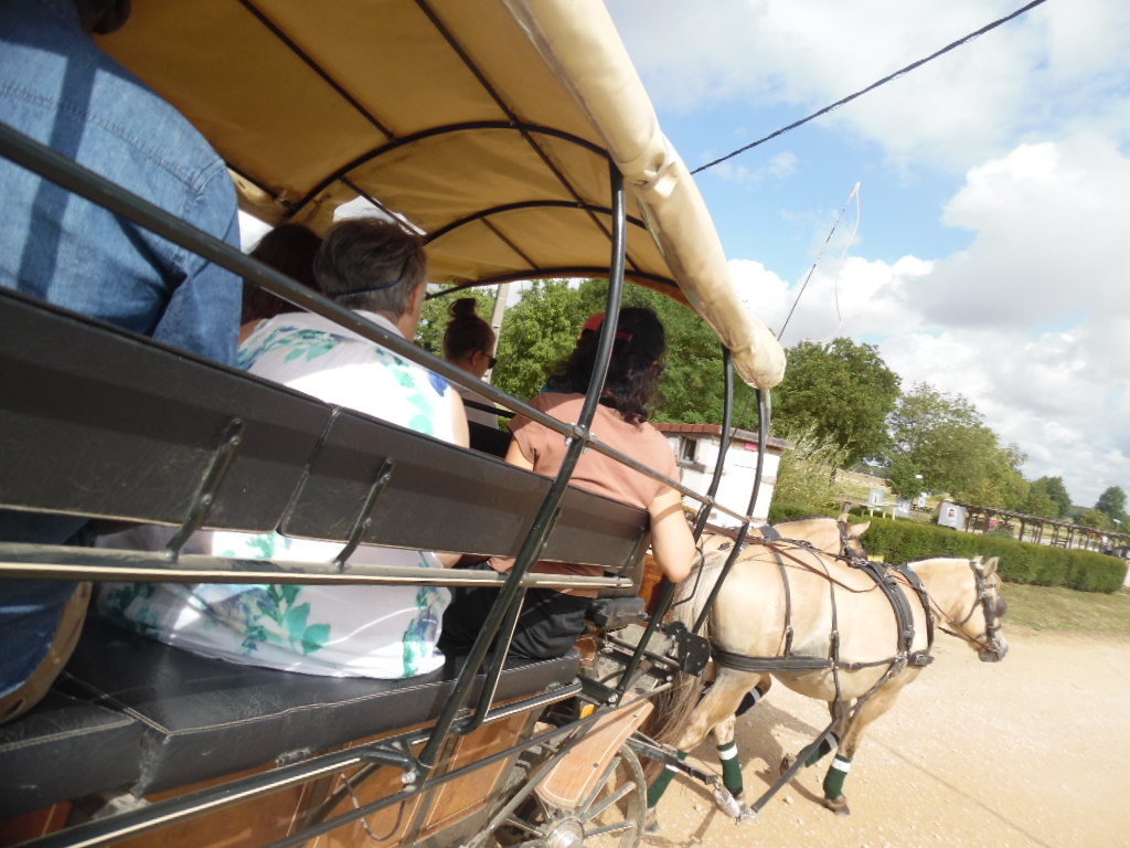 Calèche - Domaine de la Loge (2)