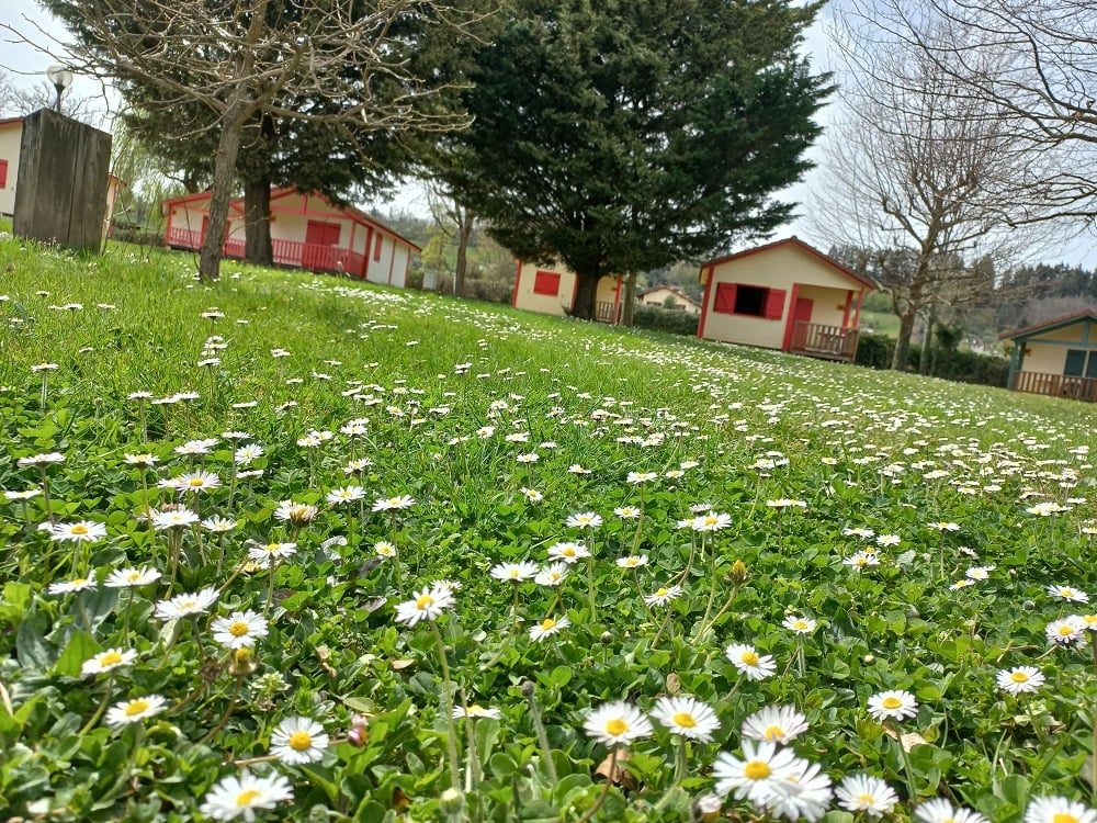 Camping les feuilles