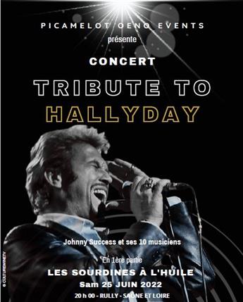 Picamelot oeno events : portes ouvertes & concert Tribute to Hallyday