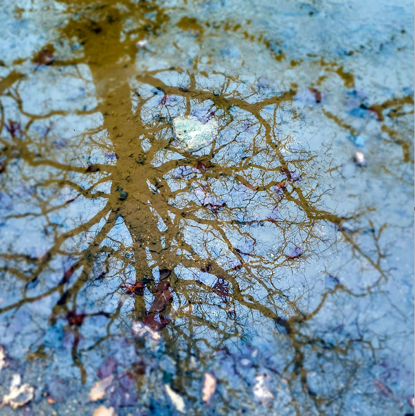 Après le lac