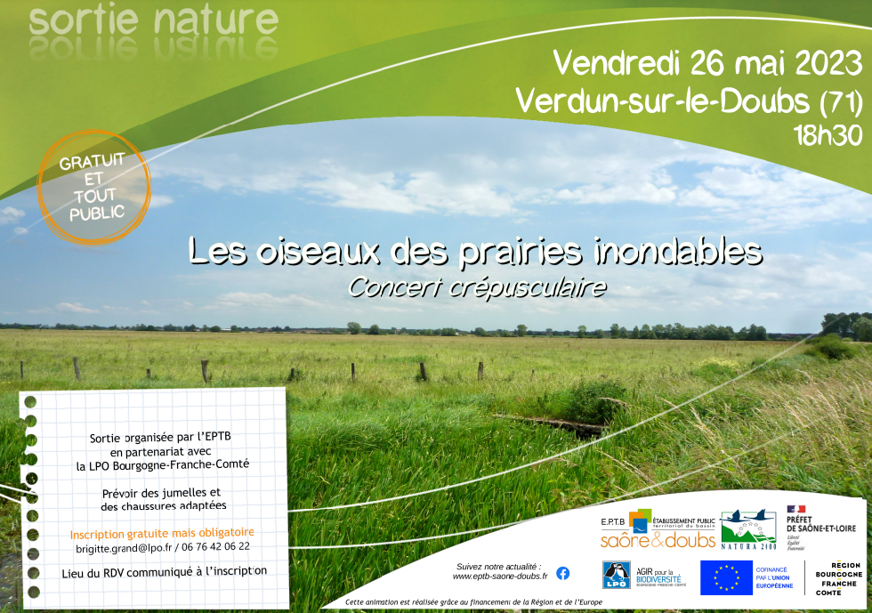 Concert crépusculaire dans les prairies inondables